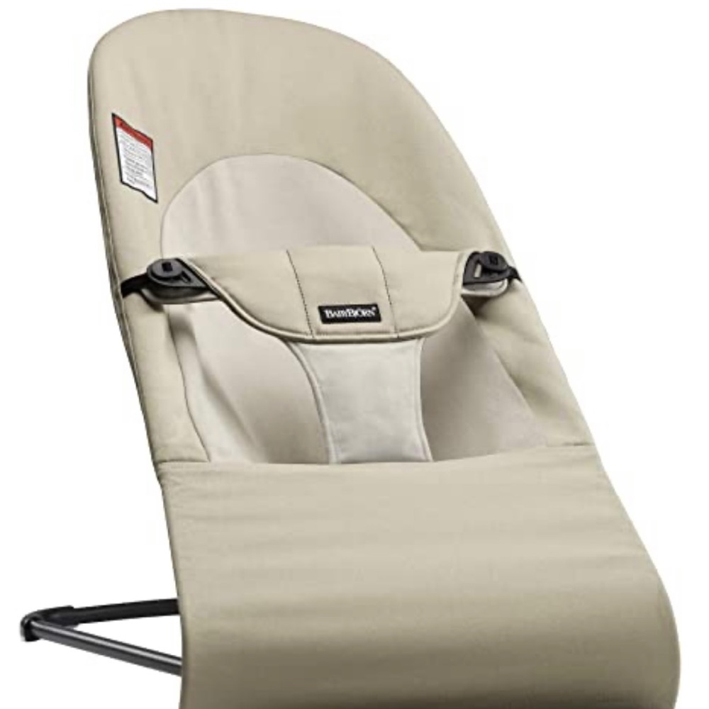 Brand new, never used baby bjorn bouncer